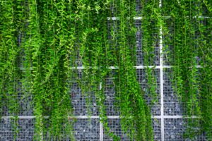Vertical Gardens and Cascading Vines