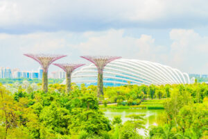 Creating Urban Oases in Singaporean Apartments 