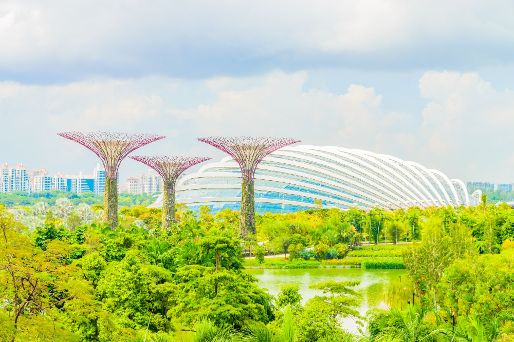 Creating Urban Oases in Singaporean Apartments