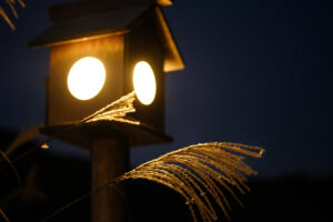 Solar-Powered Outdoor Lighting