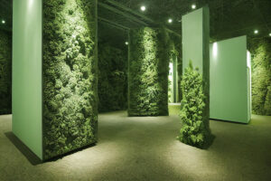 Green Ceilings