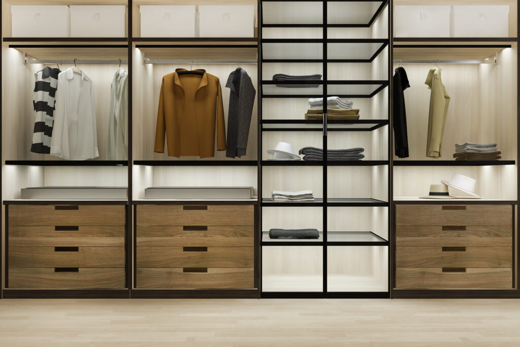 Built-In Wardrobe Designs In Singapore