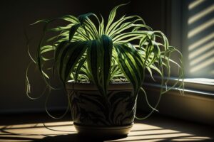 Plants: Nature’s Air Purifiers