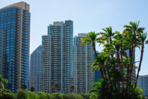 palm trees buildings san diego