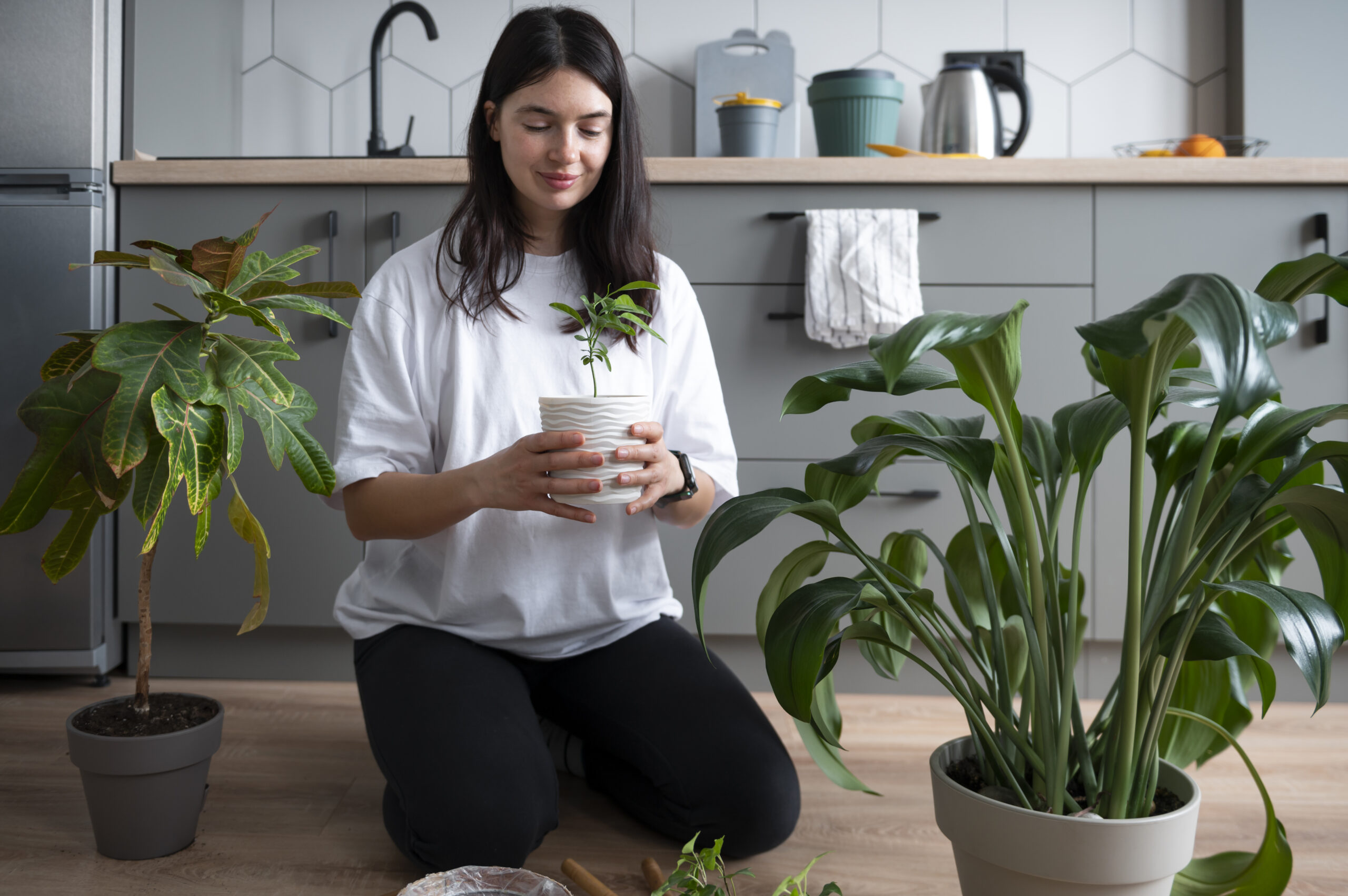 woman changing pots her plants home quarantine scaled